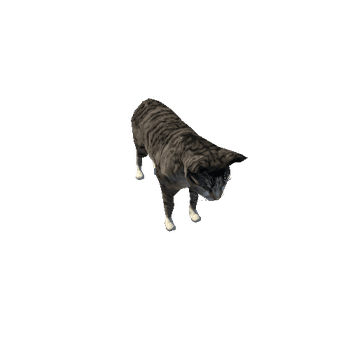 HerdSim Cat